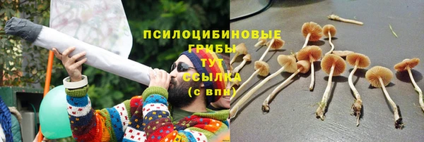 соль ск Белоозёрский