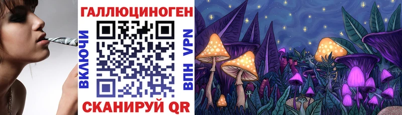 купить наркоту Всеволожск Галлюциногенные грибы мицелий